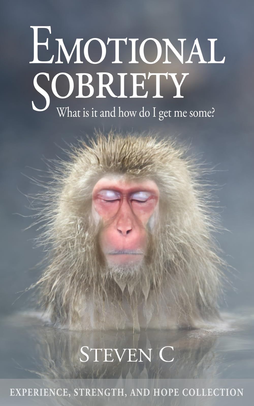 Emotional Sobriety: What is It and How Do I Get Me Some (Experience, Strength & Hope for Recovering Addicts)