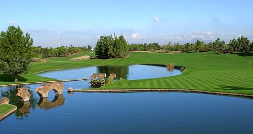 Miniatura 3 de Eliminator Aquatic Herbicida Concentrado - Caja de 4 Galones