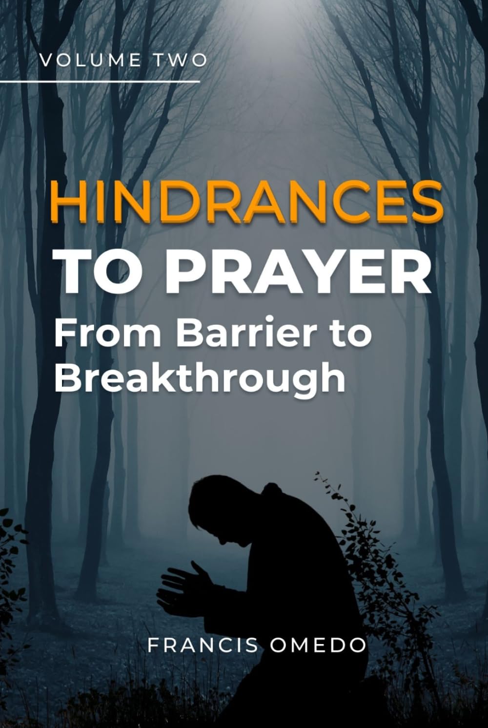 Hindrances to Prayer Volume 2: From Barrier to Breakthrough