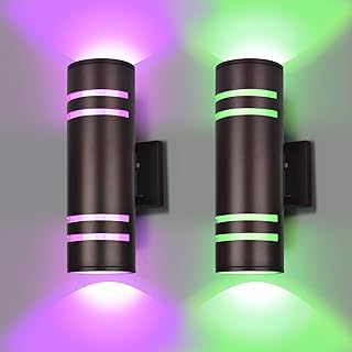 Smart Outdoor Wall Lights Color Changing 2 Pack, RGB+2700K-6500K Modern Exterior Lighting Fixtures Cylinder Outside Wall Sconce with Glass, WiFi APP Control Up 