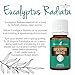 Eucalyptus Radiata Essential Oil 15ml by Young Living Essential Oils