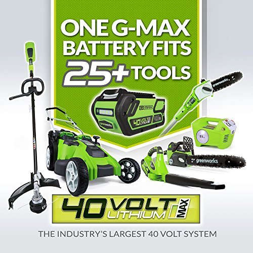 Greenworks 40V Electric Leaf Blower, 430 CFM / 115 MPH, 2.0Ah Battery and Charger Included BA40L210