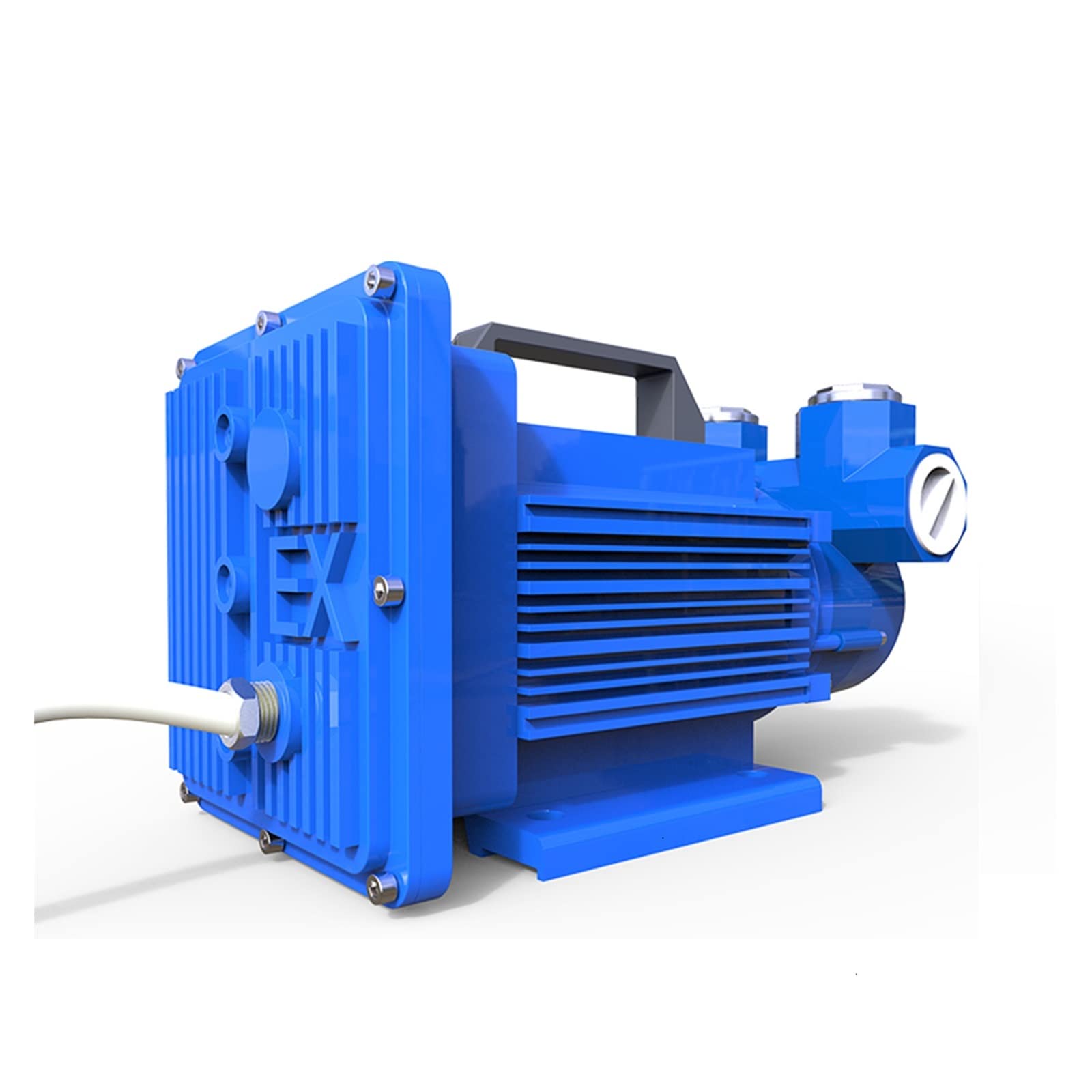 Pompa benzina 12V 24V con antideflagrante Micro pompa olio elettrica, pompa diesel 600 W 60l/min Pompa Metanolo Etanolo(24V Blue)