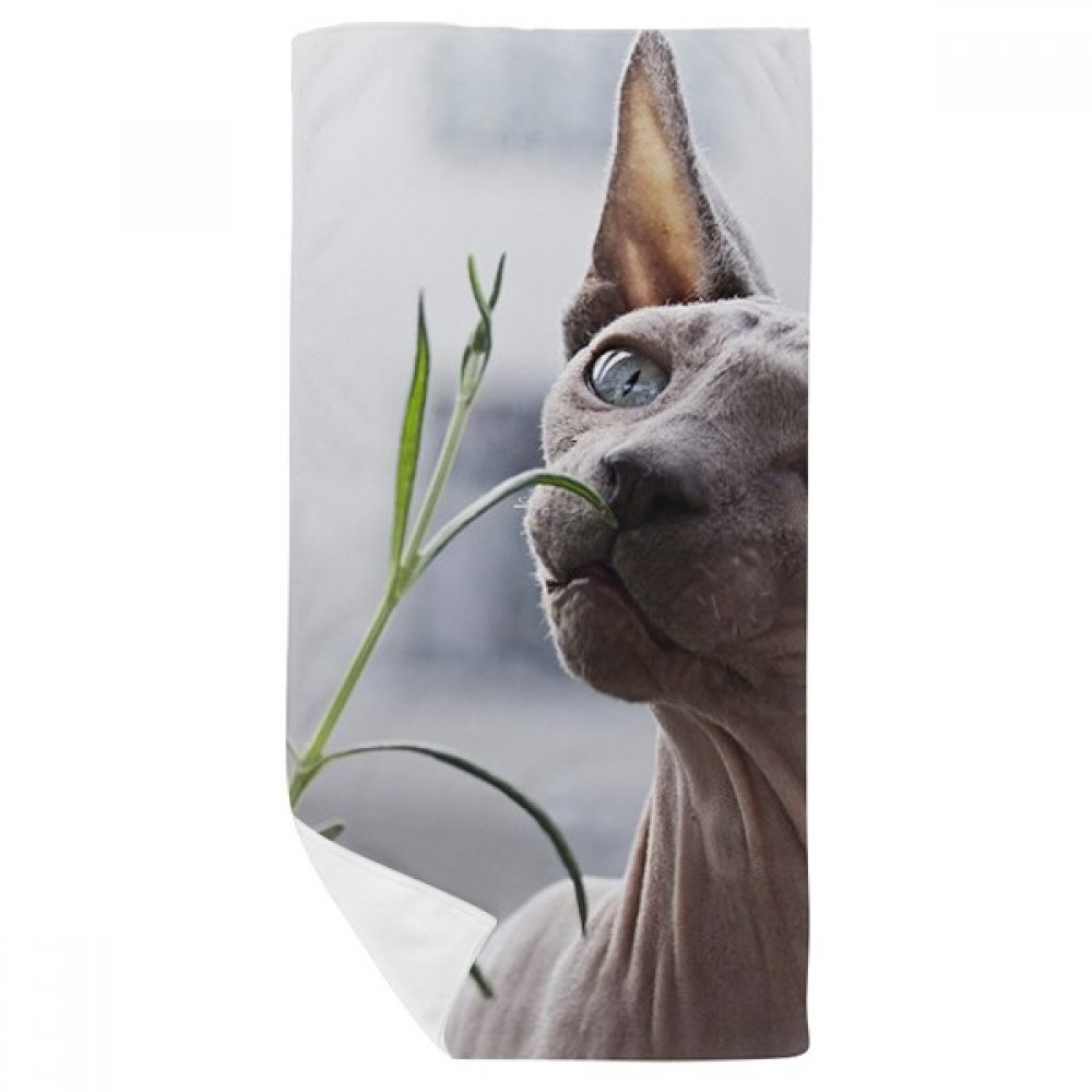 Serviette de bain chat gris multicolore 35x70cm gant de toilette doux animaux