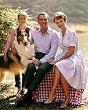 Lassie Featuring Jon Provost June Lockhart Hugh Reilly 11x14 Photograph