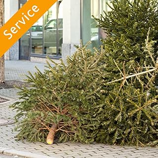 Christmas Tree Removal