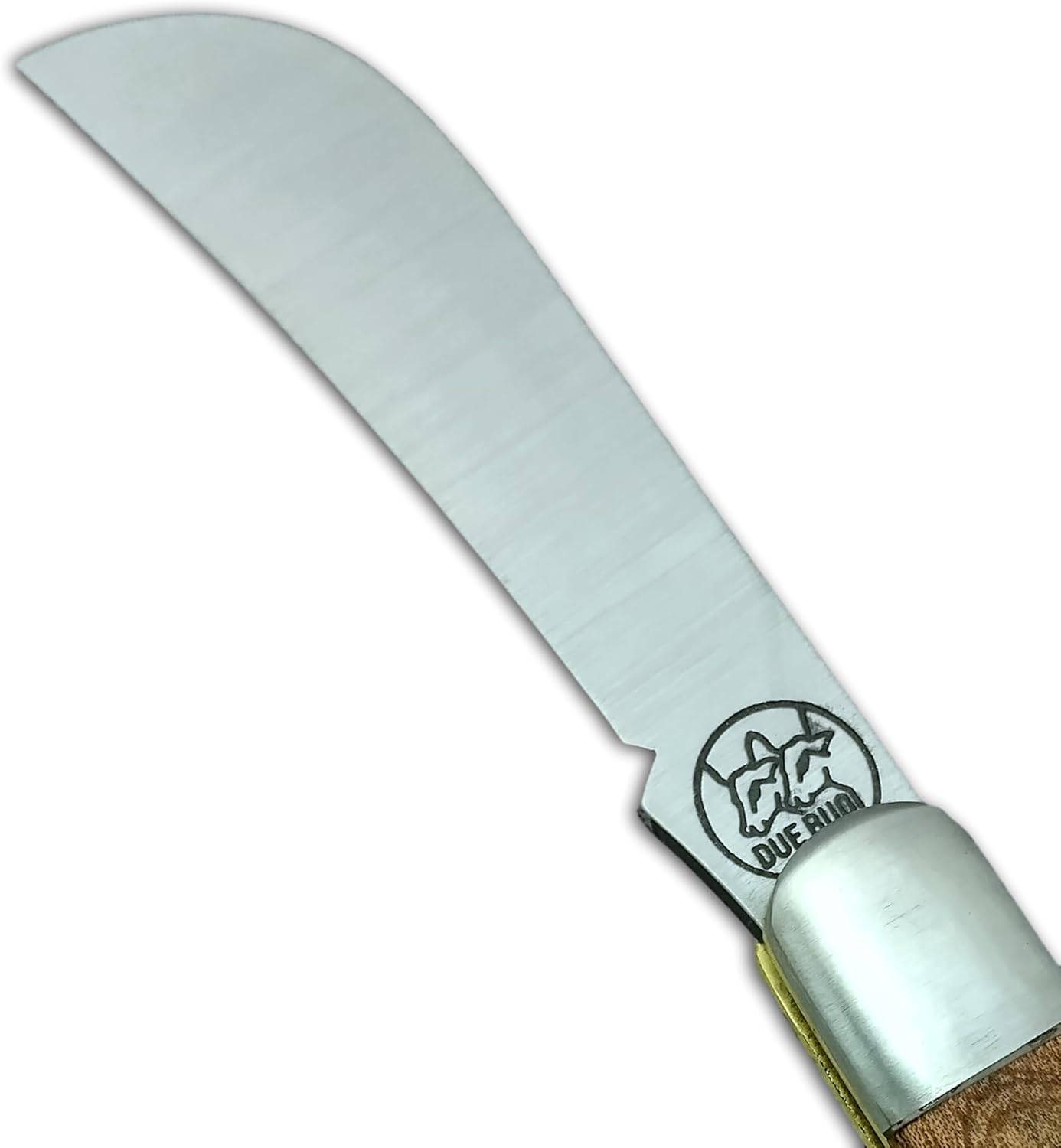 DUE BUOI 260L LEFTY Professional Agriculture Pruning & Grafting Knife for Budding & Trimming (Professional Knife NOT an EDC Pocket Knife)