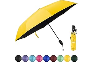 Windproof Travel Umbrella: Shield Yourself from the Elements in Style