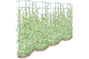 Sturdy & Expandable Blackberry Trellis
