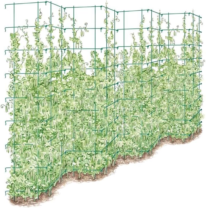 Gardener's Supply Company Tall Expandable Pea Trellis for Outdoor Plants | Sturdy Garden Trellis for Beans, Peas & Other Climbing Vegetables | 9'-3" L x 64" H Installed - Green