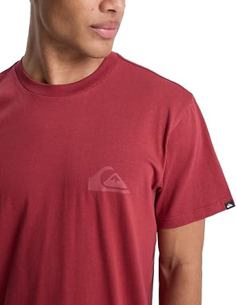 Quiksilver Men's Ev Mini Logo Ss T-Shirt (Pack of 1)