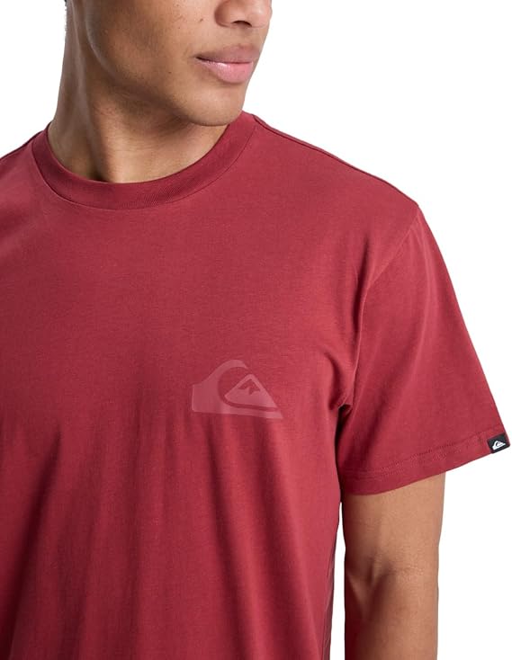 Quiksilver Men's Ev Mini Logo Ss T-Shirt (Pack of 1)