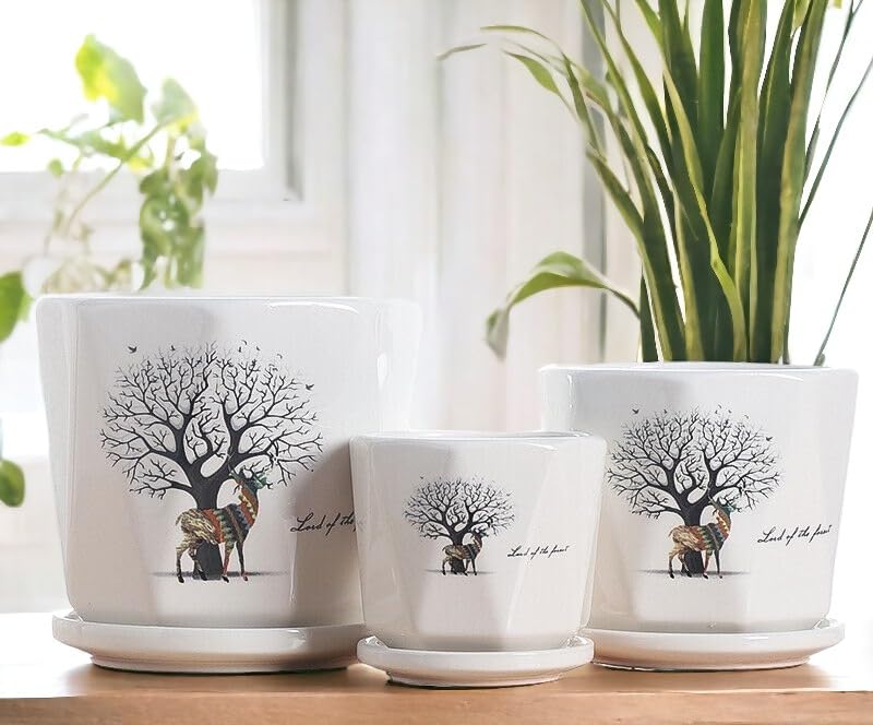 Garden Art Imported Ceramic Flower Planter with Saucer, Set of 3(A-11,B-14,C-16.7 CM Dia) in Different Sizes, Modern Round Succulent Pots with Black Beautiful Print for Home (GA37209) (B0CLCVFQ4H) Amazon Price History, Amazon Price Tracker