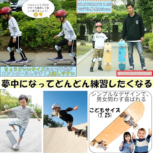 Amazon.co.jp: WALNUT SKATE: COMPLETE(完成品)
