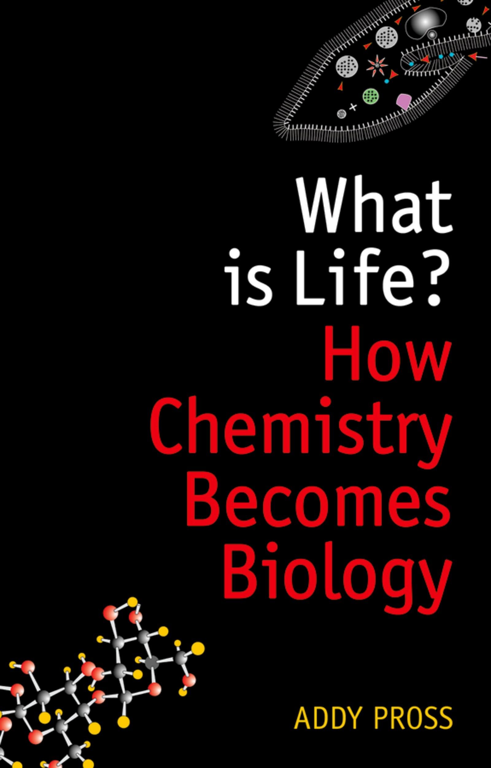 What is Life?: How Chemistry Becomes Biology (Oxford Landmark Science)