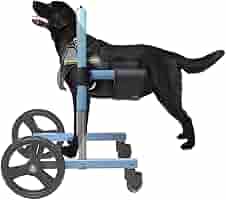 犬用車いす 黒と白のチェック柄 犬用車いす チェック柄 - メルカリ