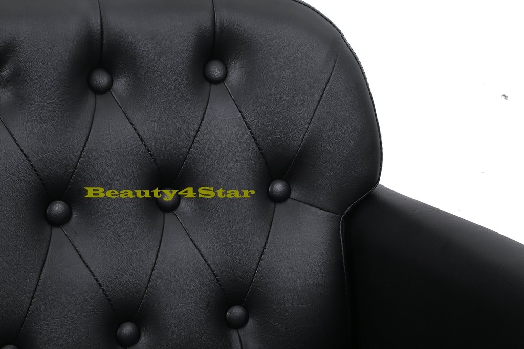 Beauty4Star Hair Styling Salon Chair for Hair Cutting Styling Dyeing with Oil Pump and Foot Rest : Beauty & Personal Care