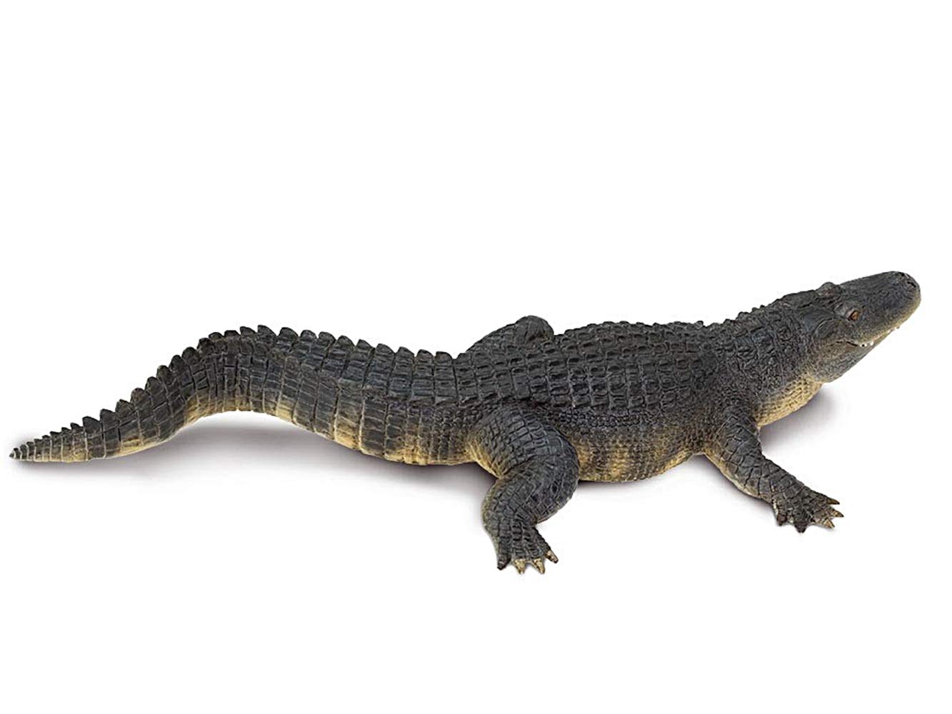 Safari  Wildlife Wonders ( ワイルドライフ ワンダーズ ) ブラックウルフ 112989 サファリ ブラックウルフ フィギュア 181129 : サファリ