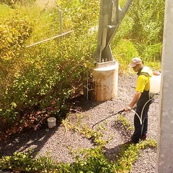 Amazon.com : Total Solutions Turf King Weed Killer - 4 Gallon Case