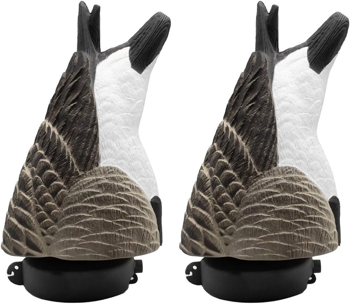 Final Approach FA Live Canada Goose Butt Decoys, 2 Pack