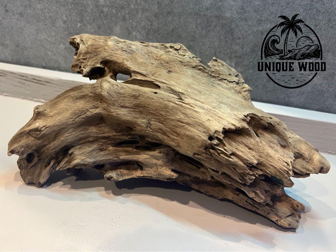 天然流木 アクアリウム ADA インテリア 煮沸済み 【31】 61sL4+bPK-L