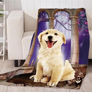 Droppedo Imported Pet 3D Digital Dog Cat Blanket, Snuggle Cozy Flannel Puppy Cushion Sleep Mat Halloween Night 2 (64018928DI)