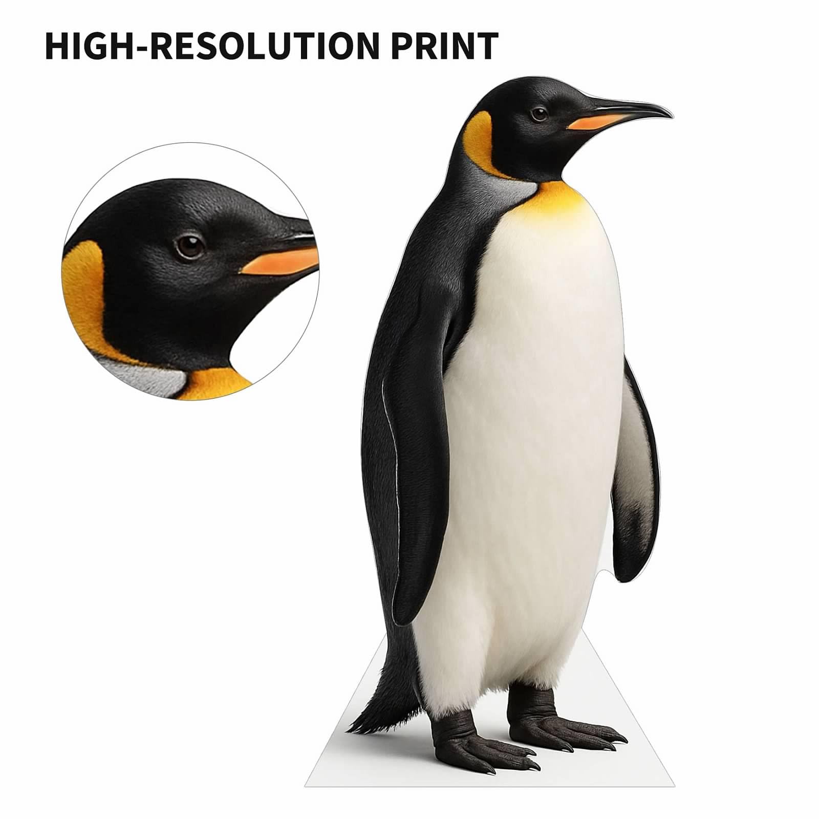 Amazon.com: Penguin 2FT Life Size Cardboard Cutout – A Fun Animal