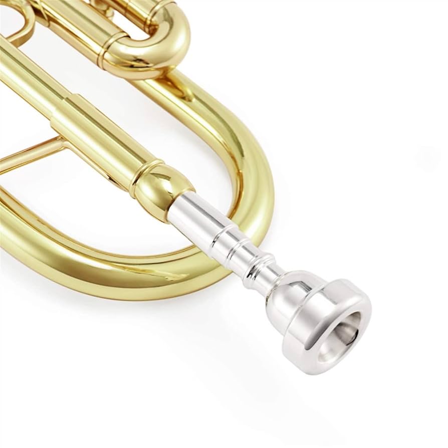 トランペット本体 ゴールド 真鍮製 Amazon.co.jp: 真鍮B フラットトランペットセット 初心者用 真鍮