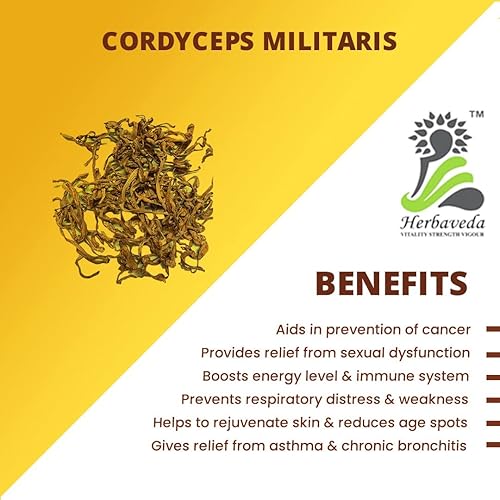 Miniatura 2 de Herbaveda- Cordyceps Militaris entero 1.76 oz  Promueve la vitalidad  Aumenta la inmunidad