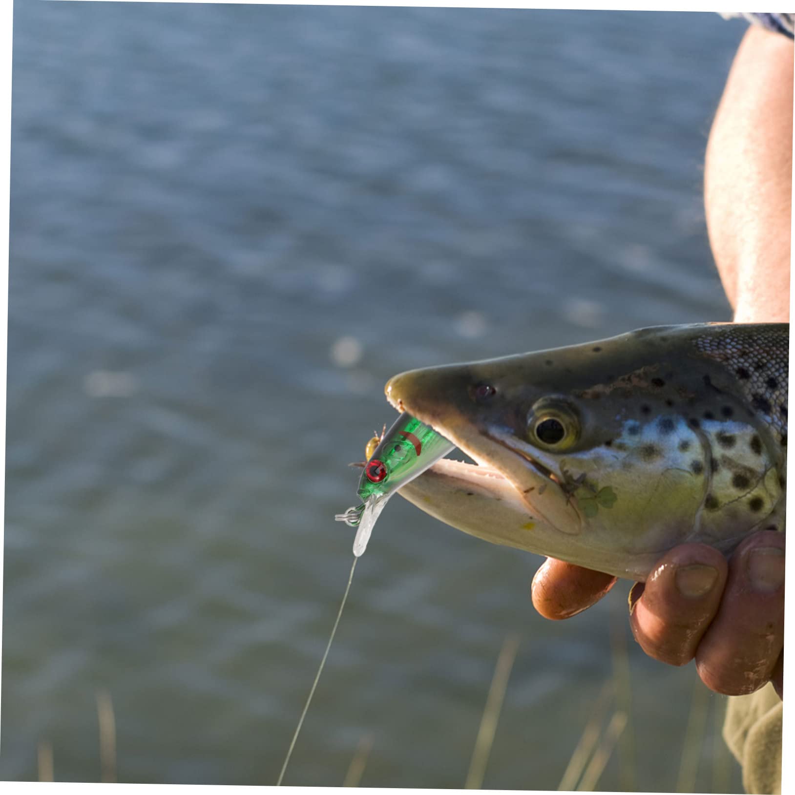 INOOMP 18pezzi Esche Artificiale per Pesca Bait Leggero e Resistente Lure Imitativo per attività di Angling Dolce e Salata