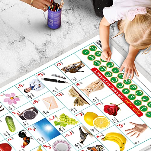 Image of GO WOO Combo of 2 Alphabet and Arabic Alphabet (Arabic) Educational Posters for Preschool Kids Classroom Study | Learning- Charts for Kids Learning (20 inchX30 inch Inches)