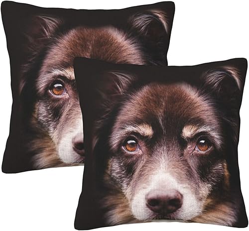 Ovbflc Border Collie Double-Sided Plush Throw Pillow Cover (Pack of 2), Sofa Pillow, Home Decor Pillow Cover, Lumbar Pillow