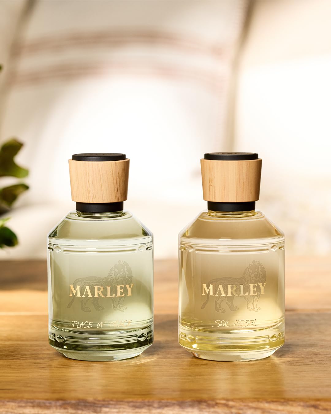 Michael Malul / Marley Soul Rebel -100ml | 3.4oz EDP - Image 7