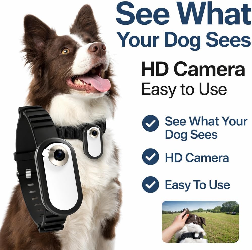 Dog Collar Camera 1080P HD – Dog POV Camera with 170° Wide Angle Lens, Mini Action Camera for Dogs, Video Recording with Micro SD Card, Lightweight Pet Body Cam (No WiFi)