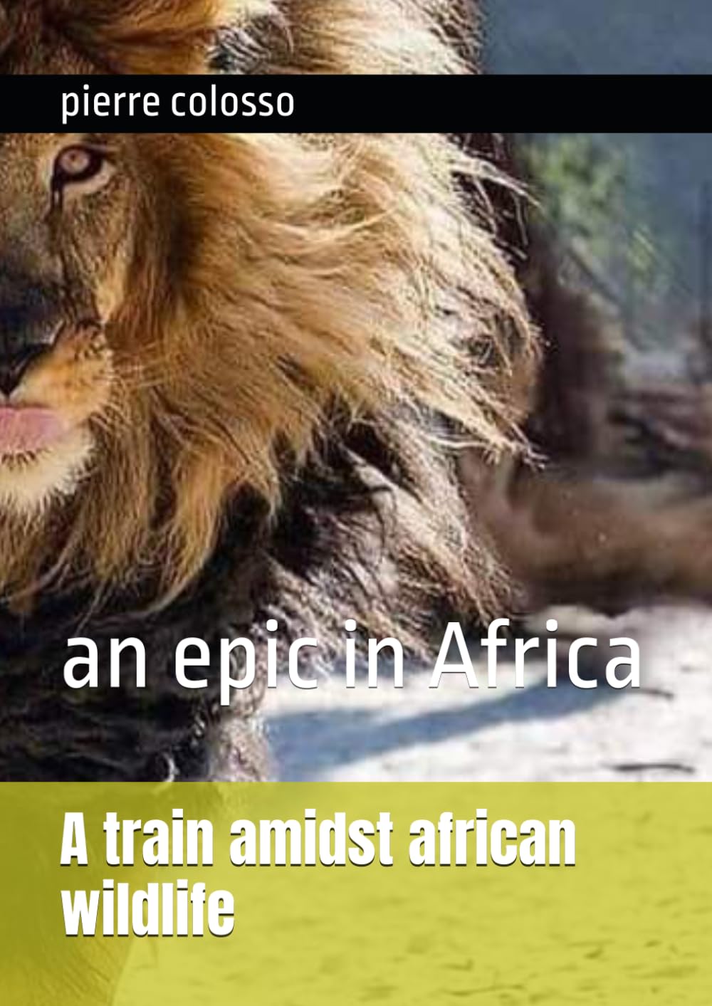 An epic in Africa: A train amidst african wildlife (afrique)