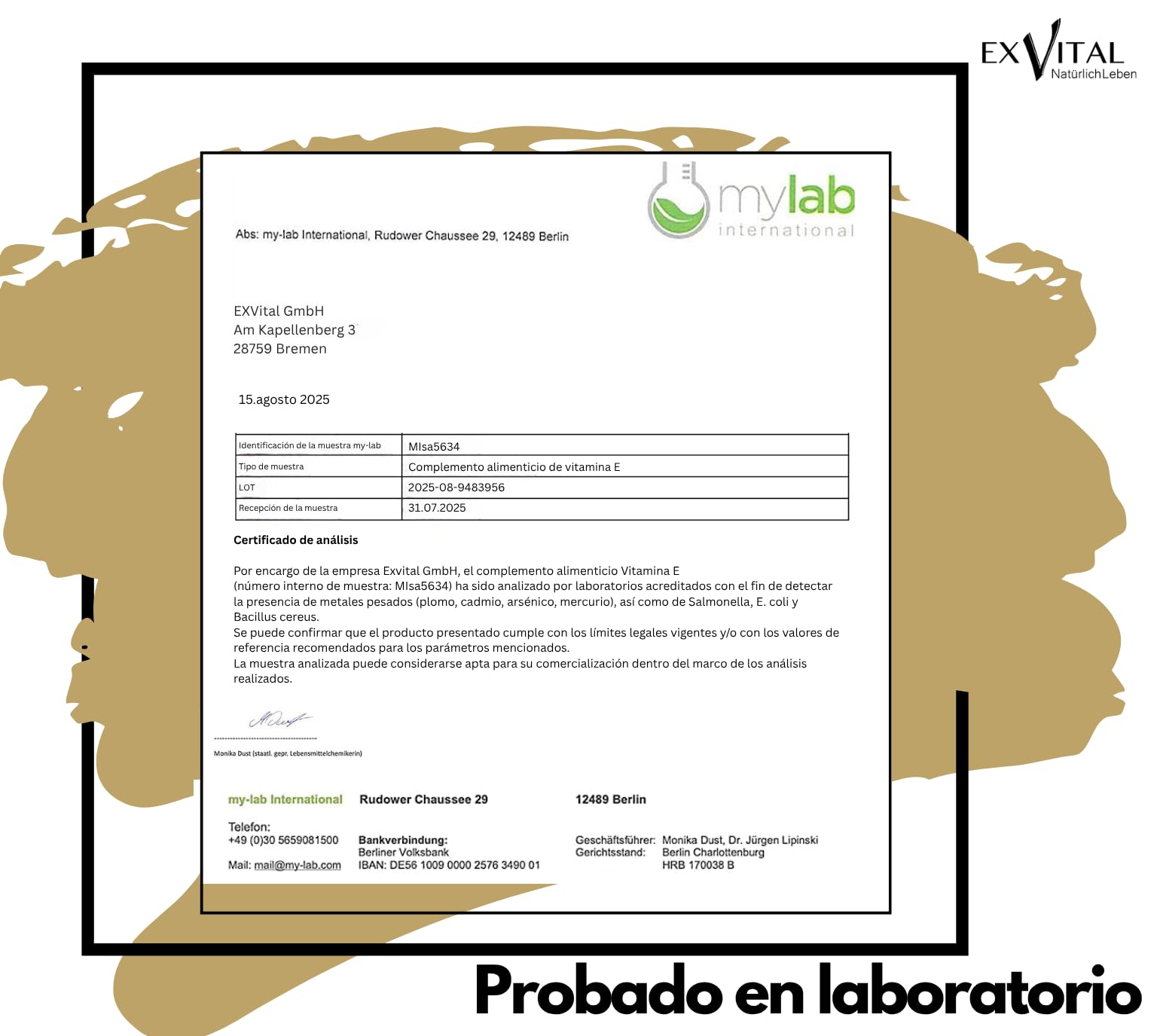 EXVital Vitamina E 400 UI, 240 cápsulas blandas veganas, con D-alfa-tocoferol, vitamina E procedente de girasol, altamente dosificada y probada en laboratorio