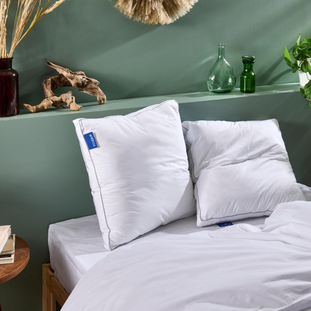 Bleu Calin Lot de 2 Oreillers Souple à Ferme 65x65cm Sensation Duvet
