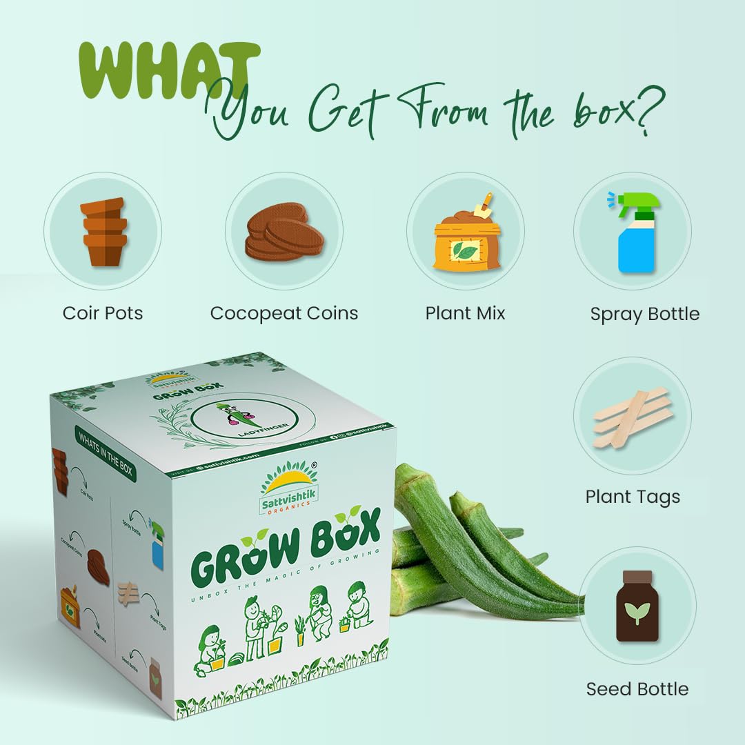 Sattvishtik Grow Box Lady Finger Vegetable Kit for Kids | Pack of 1 | Eco Friendly Gift for Kids | Beginner Gardeners | DIY | Easy Grow it Yourself Gardening Kit for Home & Garden 2