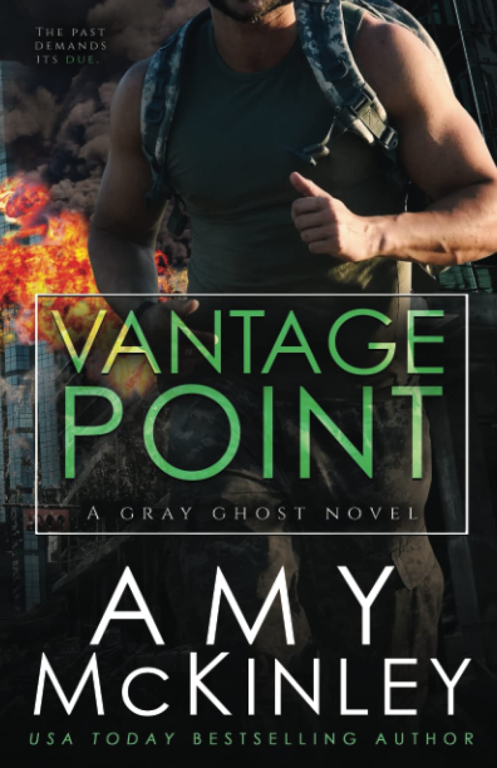 Buy Vantage Point: 4 (Gray Ghost Novel) — BookShops.in
