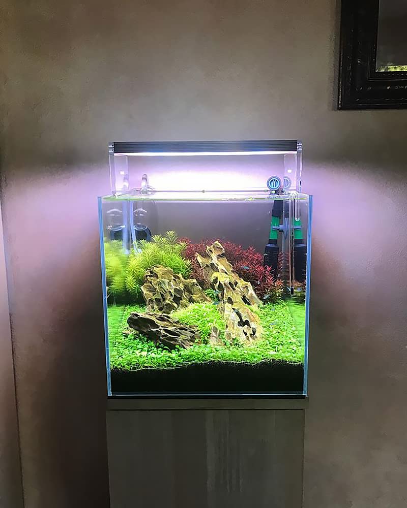 SubstateSource Pierre naturelle de dragon Ohko pour aquariums, aquariums, terrariums, lot mixte de pierres de petite et grande taille (4,5 kg)