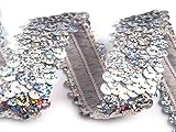 Karneval, Fasching Stoffe-Online-Shop Stretch-Pailletten, Paillettenband, Paillettenborte elastisch, mit Hologramm-Effekt in Silber oder Gold erhältlich, Breite 30mm, VE: 1m (Silber)