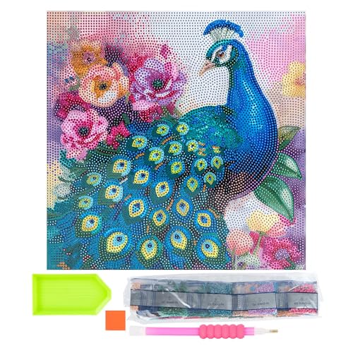 Ideen mit Herz Diamond Painting Canvas on Stretcher Frame | 30 cm x 30 cm | Set Including Tools (Peacock)