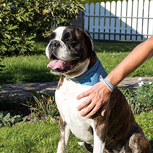 Hundehalstuch mit Halsband und Freundschaftsarmband von Pettsie, Verstellbare Größen S, M, und L, Abnehmbares Bandana Tuch, Inklusive, Hundeliebhaber, M, Blau