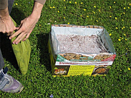 Pilzkultur Baldur Garten Weiße Edel-Champignons im Set zur Pilzzucht