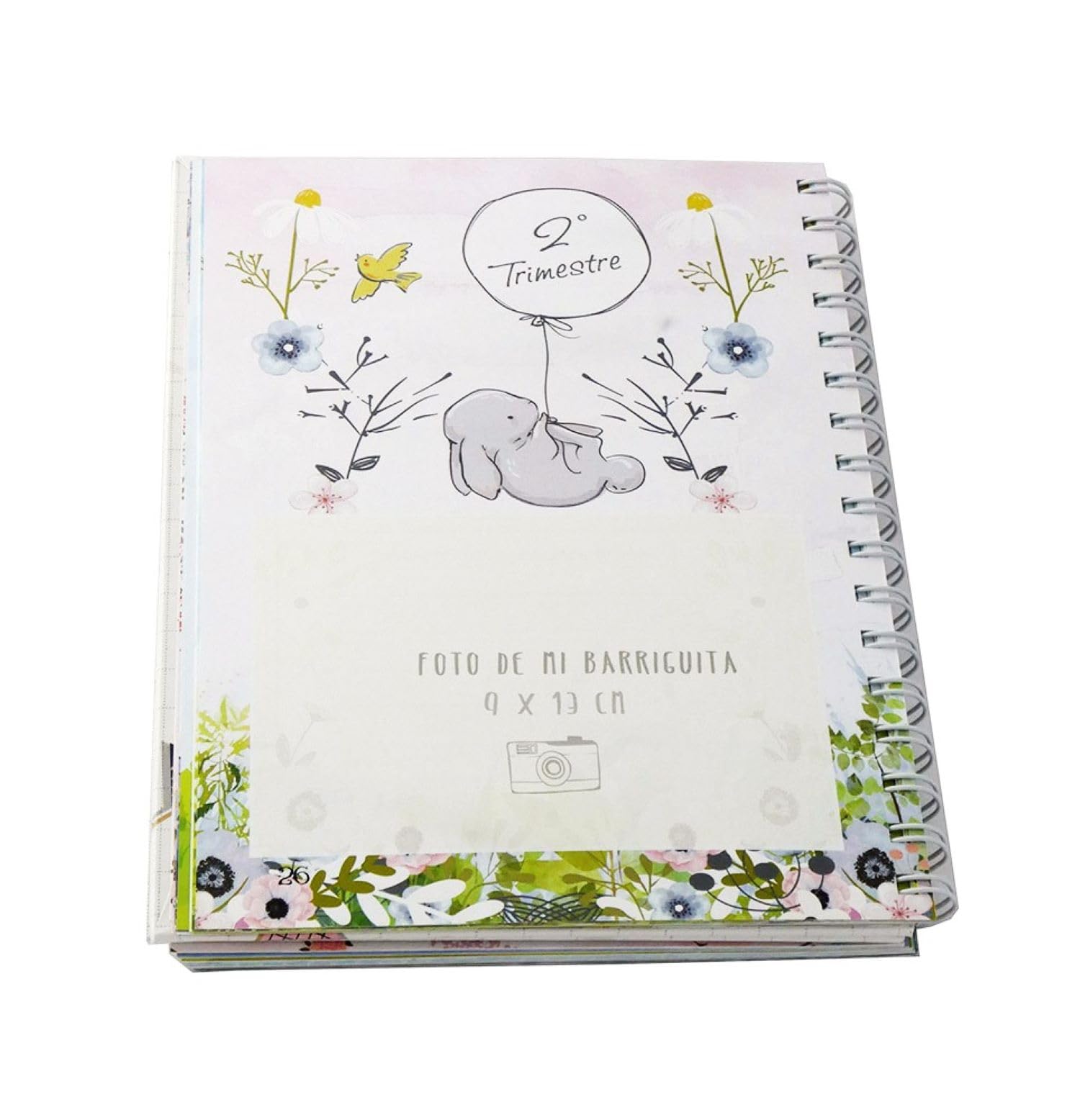 Agenda de Embarazo Semana a Semana - Diario Completo para Todas las Etapas del Embarazo | Ideal para la Futura Madre | Tapas Duras y Encuadernación en Espiral | 96 Páginas, lustraciones Originales