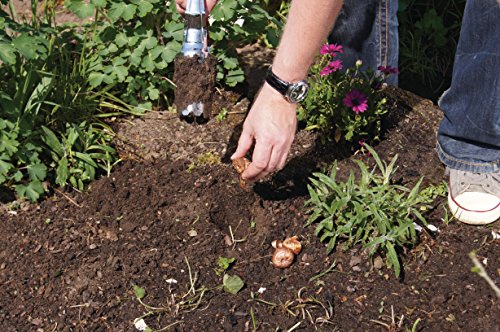 Connex Automatik-Blumenzwiebelpflanzer / Pflanzhilfe / Samensetzer / FLOR42770 COSKJ