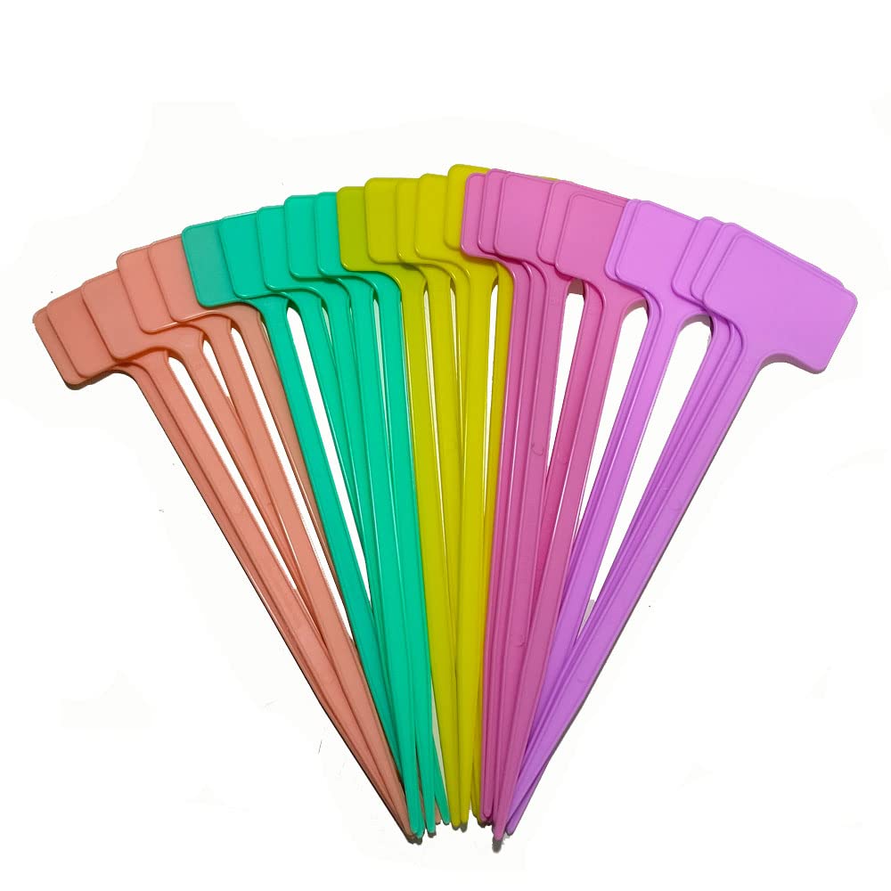 Blue Fern India Nursery Plant Tags Plant Labels Plant Markers (T-Shaped 25 cms, Pack of 25) (B0BJ24V9ZP) Amazon Price History, Amazon Price Tracker