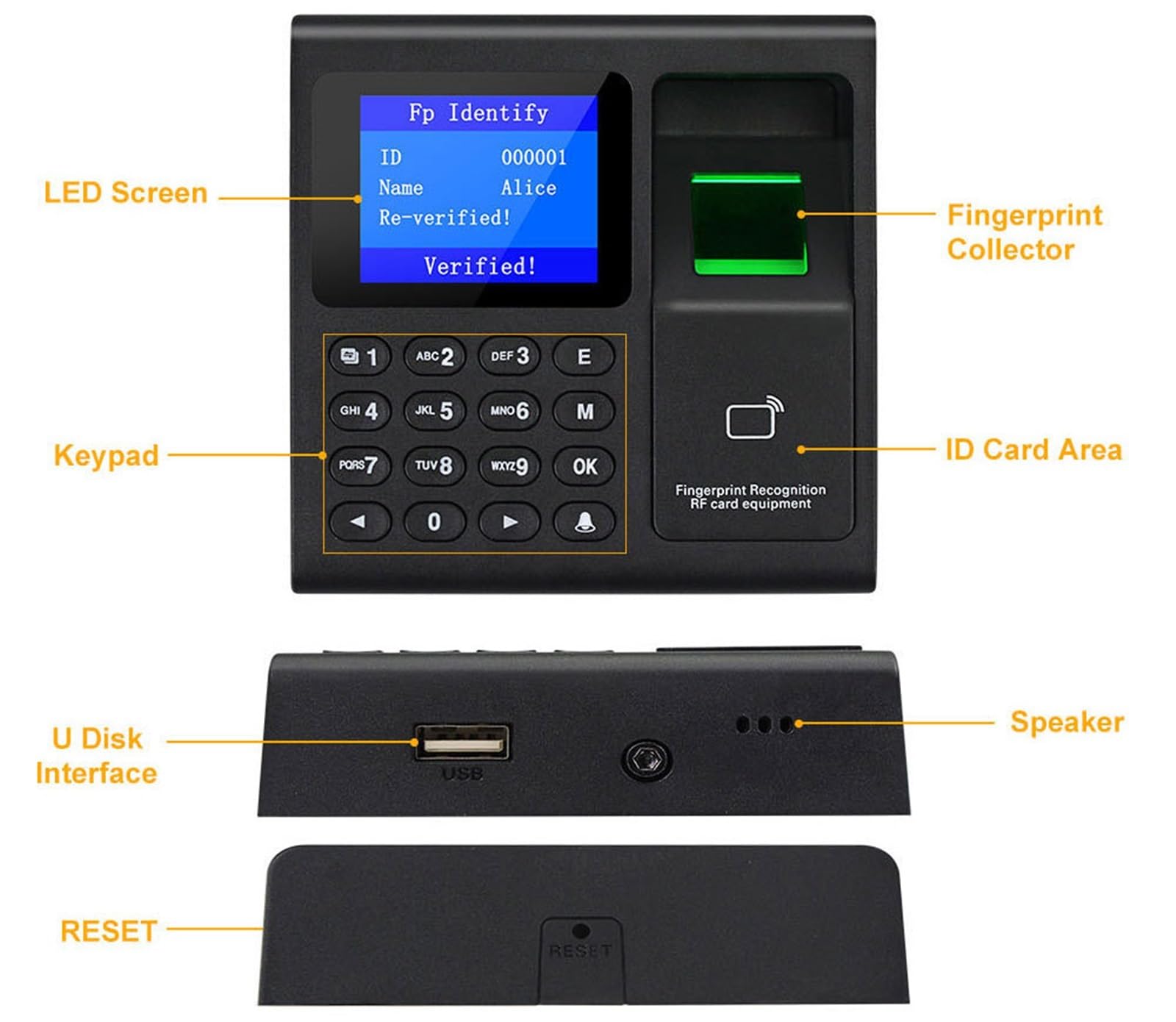 Macchina per la rilevazione, Orologio, Controllo Presenze, Macchina F30 Con Impronta Digitale, Tastiera, Accesso Per Impiegati, Elettrico,uffici, fabbriche