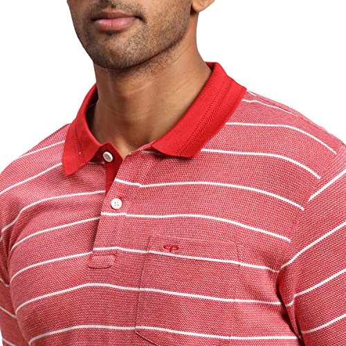 Image of Colorplus Men's Pure Cotton Solid Pattern Classic Fit Polo Neck Half Sleeve Casual T-Shirt