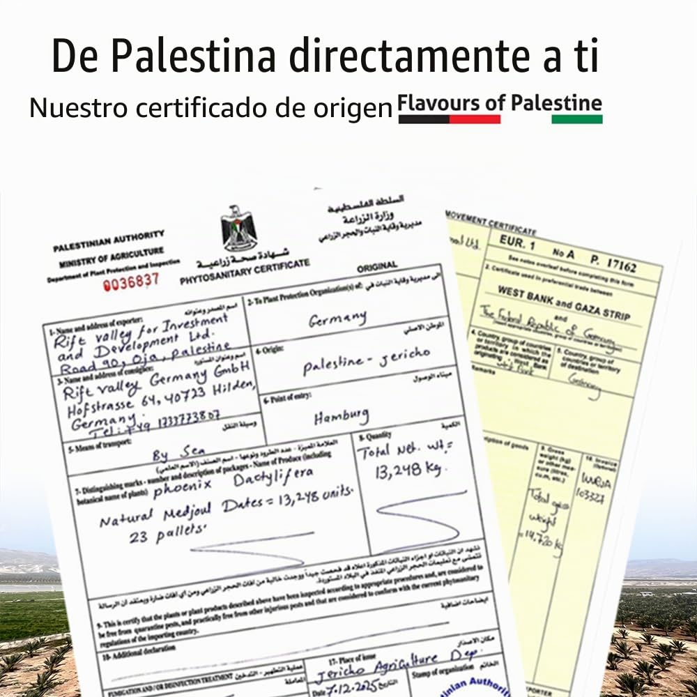 NABALI FAIRKOST Medjoul dátiles de Palestina - 100% natural aromático Tradicional Fresco & Oriental I sin conservantes I vegano I dátiles Medjoul jumbo (5 kg)